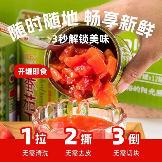 【24年新货】新疆冠农番茄丁400g 零添加 新鲜去皮 西红柿 番茄 商品图1