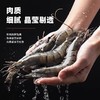 马来西亚进口黑虎虾400±50g 商品缩略图4