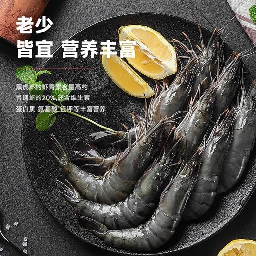 马来西亚进口黑虎虾400±50g 商品图1
