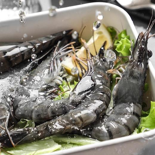 马来西亚进口黑虎虾400±50g 商品图3