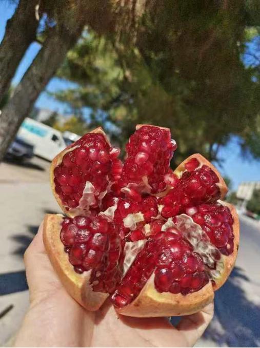 突尼斯软籽石榴2个 商品图4