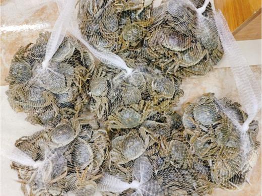 江苏大闸蟹3斤 商品图3