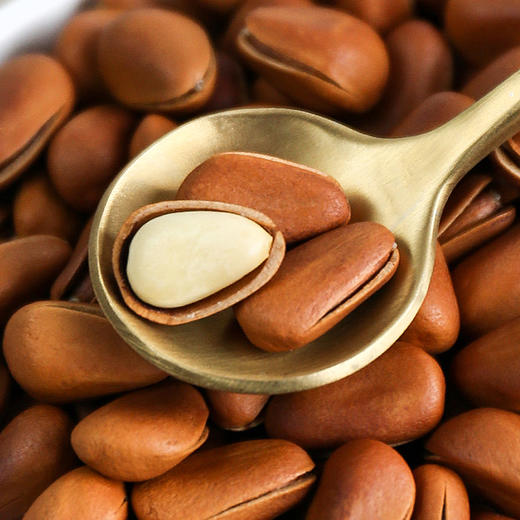 开口松子350g-550g±10g 商品图5