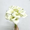 3月19日马蹄莲 白Crystal White 55cm-10支 商品缩略图0