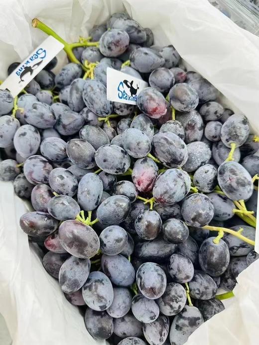 神秘梦境黑提 商品图0