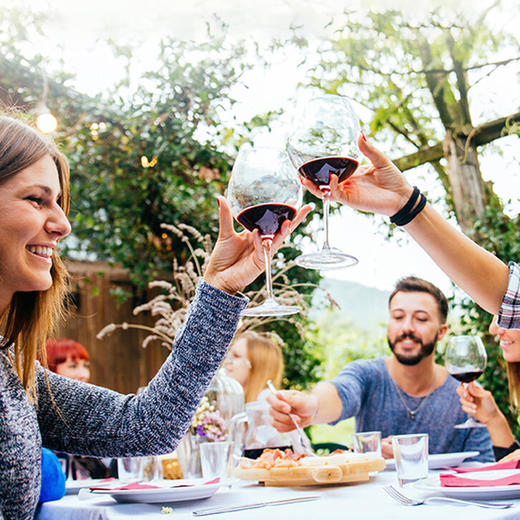 意大利进口自由的射手座红葡萄酒750ml 商品图4
