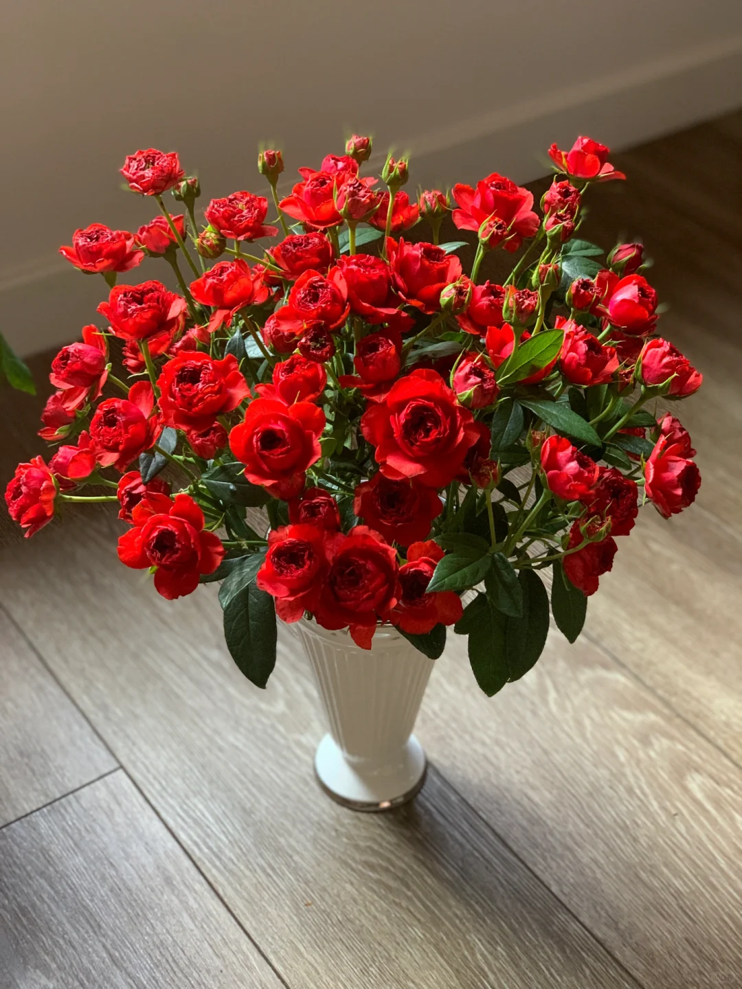 同城甄选精品花材唐红多头玫瑰10支