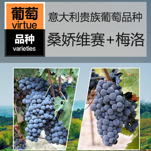 意大利进口自由的射手座红葡萄酒750ml 商品图2