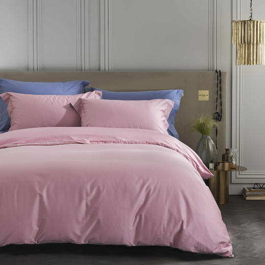 【远梦】高支高密长绒棉四件套 商品图1