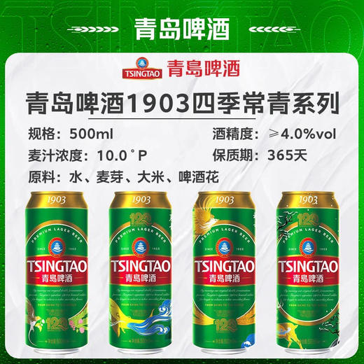 青岛啤酒窖藏型1903系列四季常青  4.0%vol 500ml*12罐 商品图1