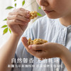 南食召 去皮核桃仁 商品缩略图1