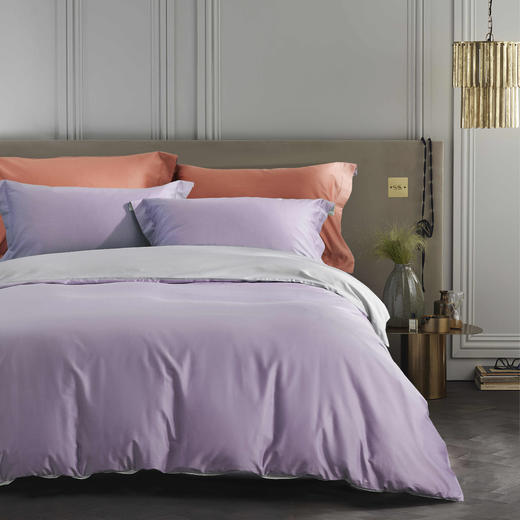 【远梦】高支高密长绒棉四件套 商品图4