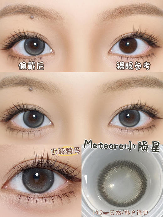 BOLLYCON 日抛 海派椰椰/小陨星 (棕绿灰14.2 最高800度) 商品图1