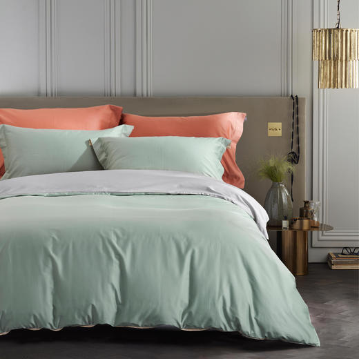 【远梦】高支高密长绒棉四件套 商品图0