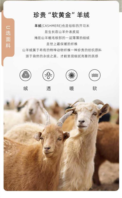 L1臣禾	知己羊绒马甲 针织背心JZ244090175 现货 商品图6