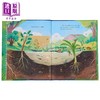 【中商原版】Hello, Puddle! 你好，小水塘 英文原版 进口原版 4岁到7岁 精装 儿童图画书 Anita Sanchez 商品缩略图1