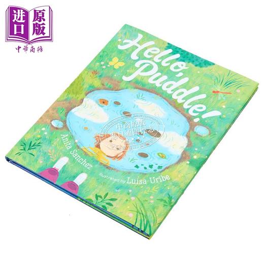 【中商原版】Hello, Puddle! 你好，小水塘 英文原版 进口原版 4岁到7岁 精装 儿童图画书 Anita Sanchez 商品图0