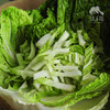 生态大白菜(太原) | 合作生产*Ecological Cabbage | Partner Production 商品缩略图3