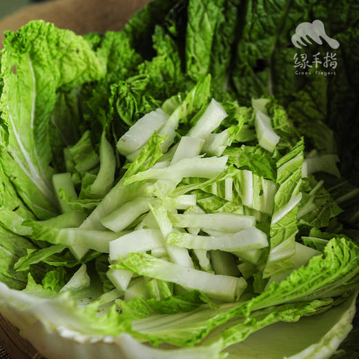 生态大白菜(太原) | 合作生产*Ecological Cabbage | Partner Production 商品图3