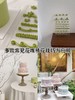 [课程] 奶油裱花造型艺术课 商品缩略图2