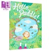 【中商原版】Hello, Puddle! 你好，小水塘 英文原版 进口原版 4岁到7岁 精装 儿童图画书 Anita Sanchez 商品缩略图4