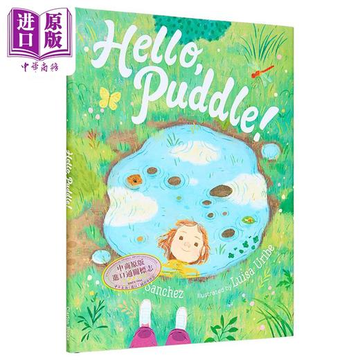 【中商原版】Hello, Puddle! 你好，小水塘 英文原版 进口原版 4岁到7岁 精装 儿童图画书 Anita Sanchez 商品图4