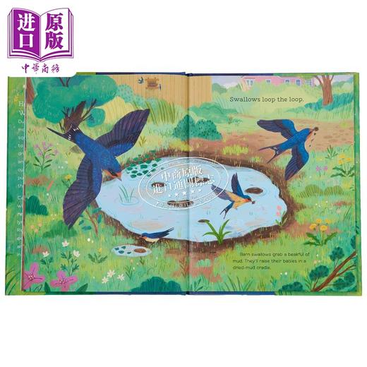 【中商原版】Hello, Puddle! 你好，小水塘 英文原版 进口原版 4岁到7岁 精装 儿童图画书 Anita Sanchez 商品图2