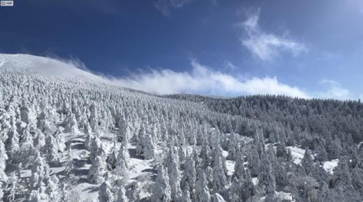 【25/26雪季，树冰藏王】3月3日-3月8日，6天5晚，6799元/人起，含早晚餐，观赏树冰奇观，畅滑优质粉雪！ 商品图3