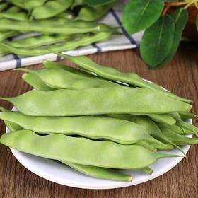 油豆角 300g 넓은 당콩300g
