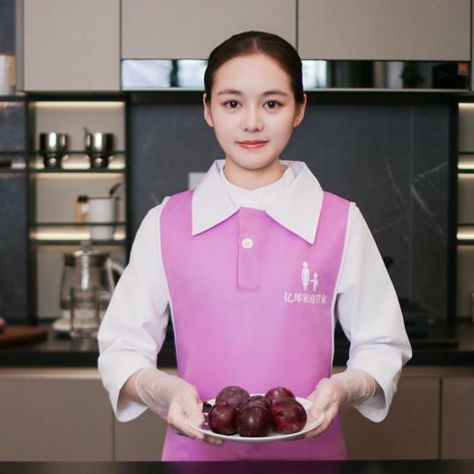 湾区月嫂/保姆/育婴师/养老护理师 商品图1