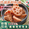 【秒杀】洪湖粉藕3斤 商品缩略图0