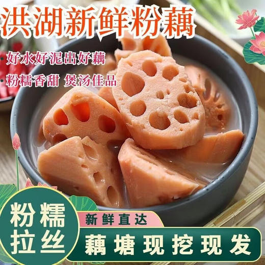 【秒杀】洪湖粉藕3斤 商品图0