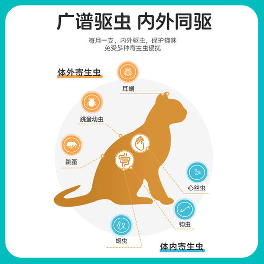 玲宠猫咪驱虫药体内外一体狗狗体外驱跳蚤耳螨宠物吡虫啉莫昔克丁滴剂 商品图2