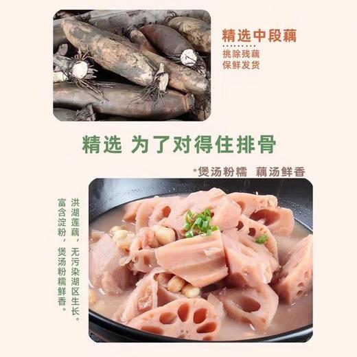 【秒杀】洪湖粉藕3斤 商品图2