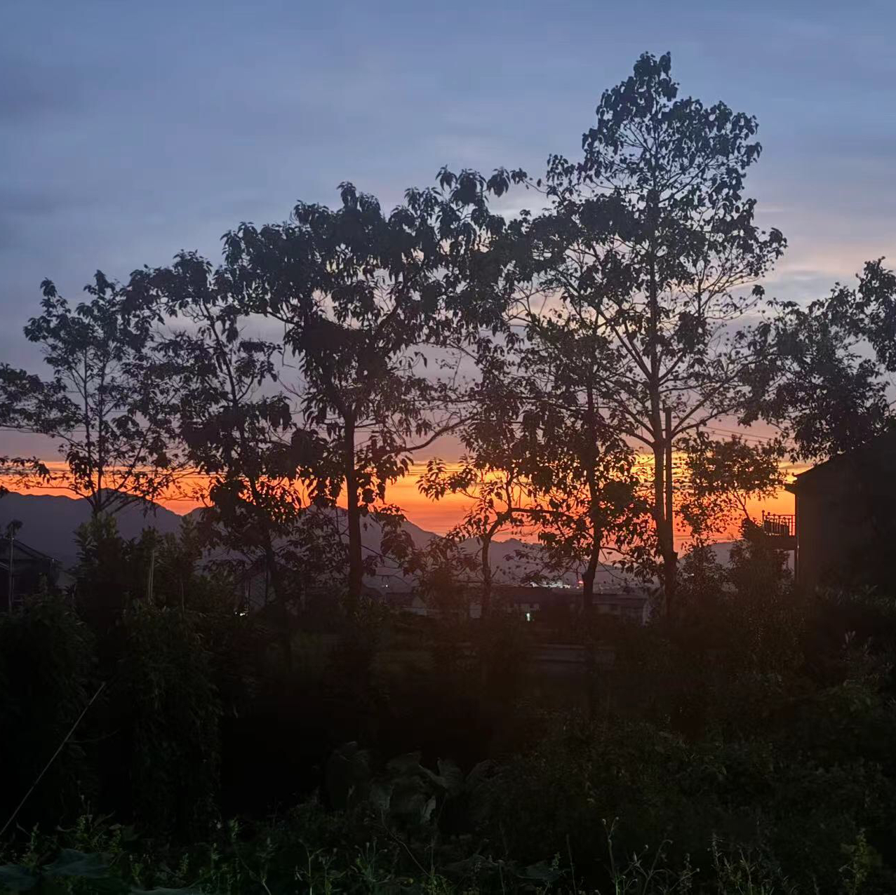 Yz测试cotton手作小时光