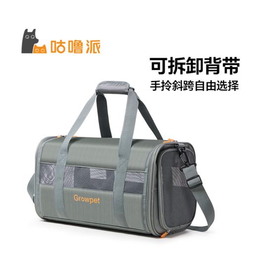 GrowPet专业宠物出行随身手提背包 商品图0
