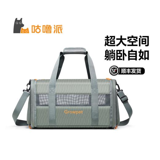 GrowPet专业宠物出行随身手提背包 商品图1