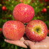 【助农】山水龙城云南昭通丑苹果净重4.5斤±0.2斤（8-12个，单果80-85mm） 商品缩略图1