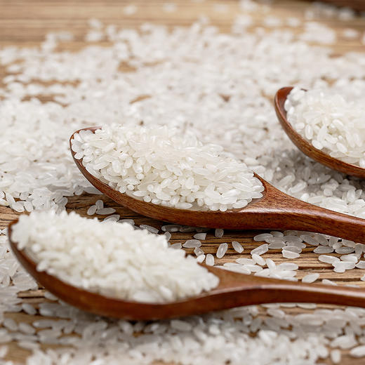 龙稻五常大米有机稻花香2号5kg 商品图4