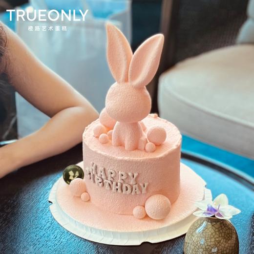 【大展宏“兔”】大展宏图，未来可期「5色可选」 商品图3