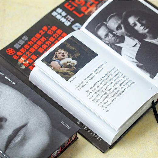 镜与世俗神话：经典电影十八讲 戴锦华 著 适合影迷进阶电影学生的电影课 影片精读电影评论电影批评 商品图5