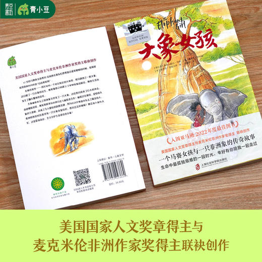 大象女孩 儿童文学百千暑假阅读书目 商品图1