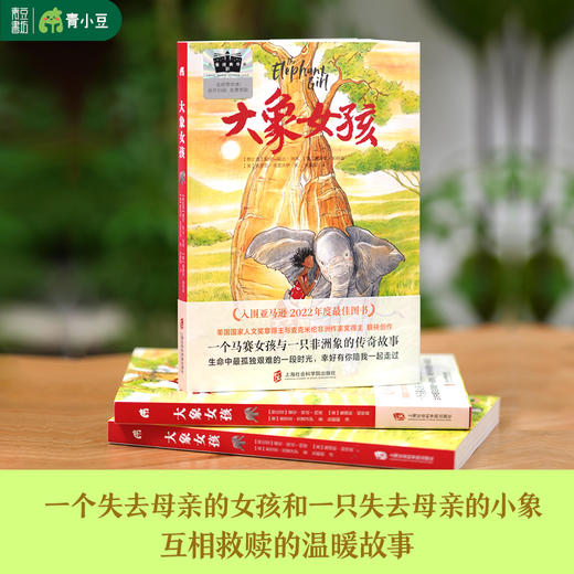 大象女孩 儿童文学百千暑假阅读书目 商品图2