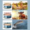 鲜朗猫用全价主食罐系列 商品缩略图2