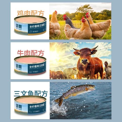 鲜朗猫用全价主食罐系列 商品图2