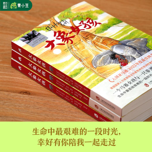 大象女孩 儿童文学百千暑假阅读书目 商品图3