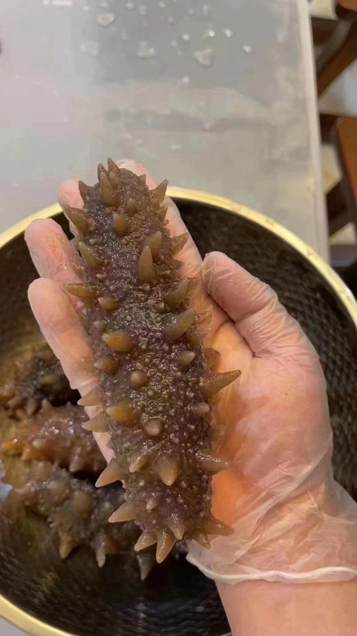 大连即食海参，“懒人”必备！口感鲜嫩Q弹、却不失劲道。解冻即食，非常方便 商品图3