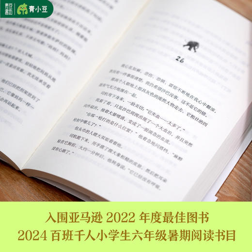 大象女孩 儿童文学百千暑假阅读书目 商品图4