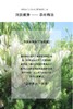 【清仓特惠4折】OLIVIAM澳莉维亚澳洲进口茶树菁萃沐浴乳深层清洁保湿舒缓持久留香200ml 黄色 商品缩略图5
