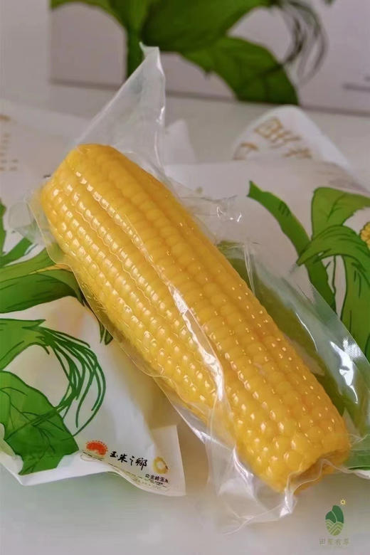 田里有草玉米，人工除草，非转基因锁鲜，独立真空包装，干净卫生 商品图2
